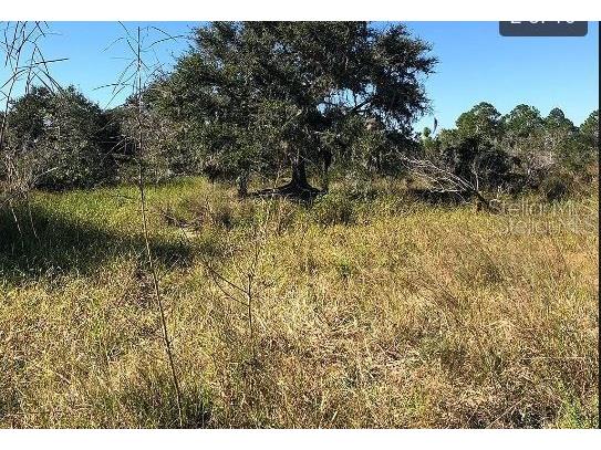 Hwy 60 E Lake Wales FL 33898 O6270341 image2