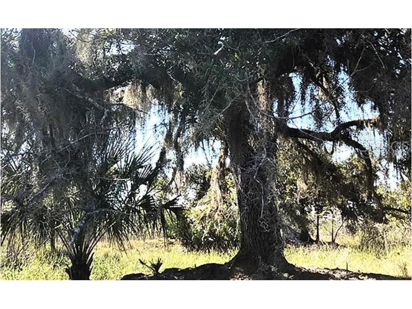 Hwy 60 E Lake Wales FL 33898 O6270344 image2