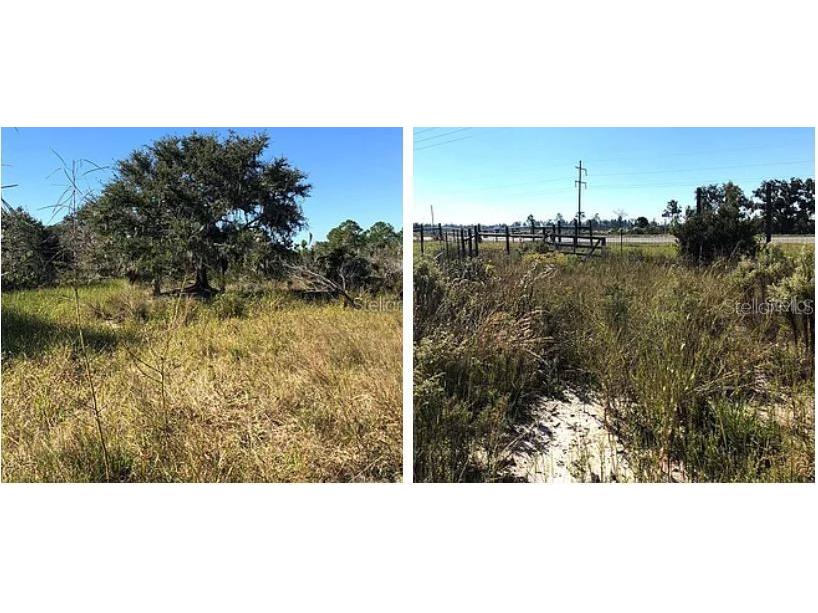 Hwy 60 E Lake Wales FL 33898 O6270346 image2