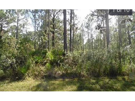 Hwy 60 E Lake Wales FL 33898 O6270658 image2