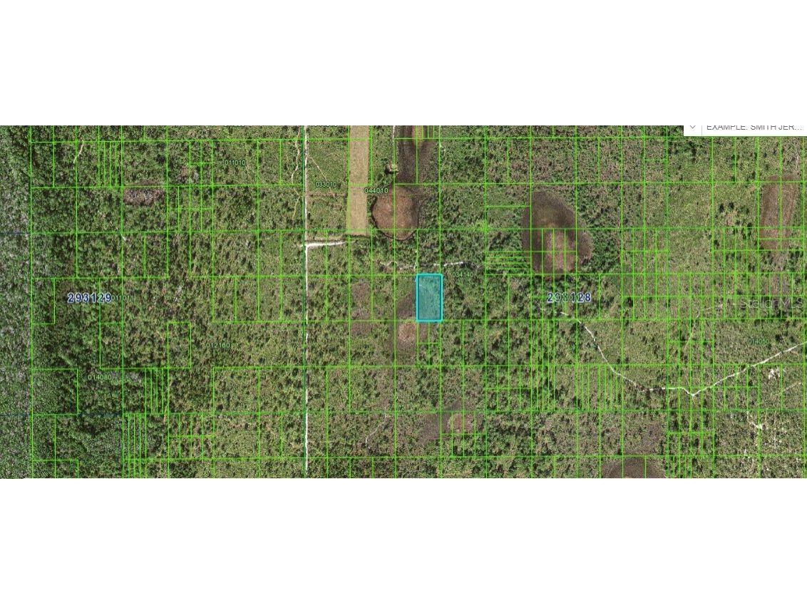 Hwy 630 E Frostproof FL 33843 O6299925 image3