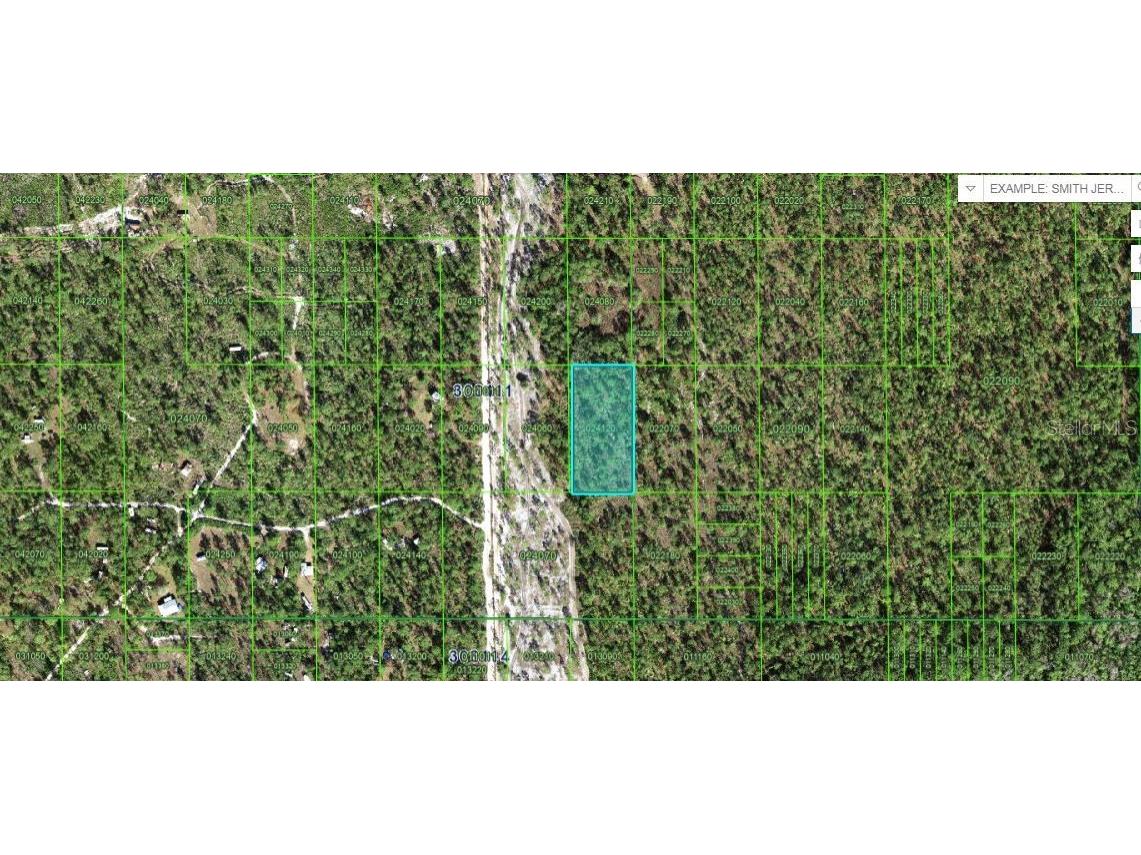 Hwy 630 E Lake Wales FL 33898 O6265119 image2