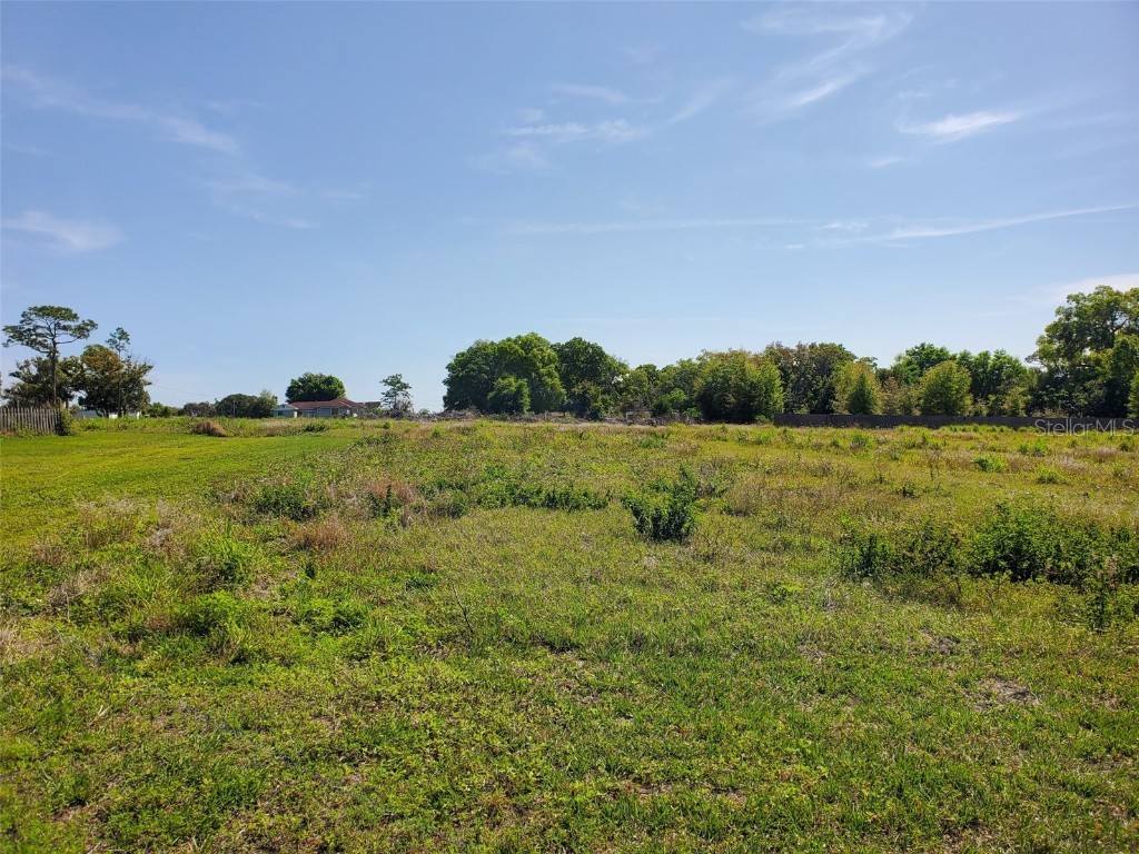 Hylan Street Zephyrhills FL 33541 T3511856 image1