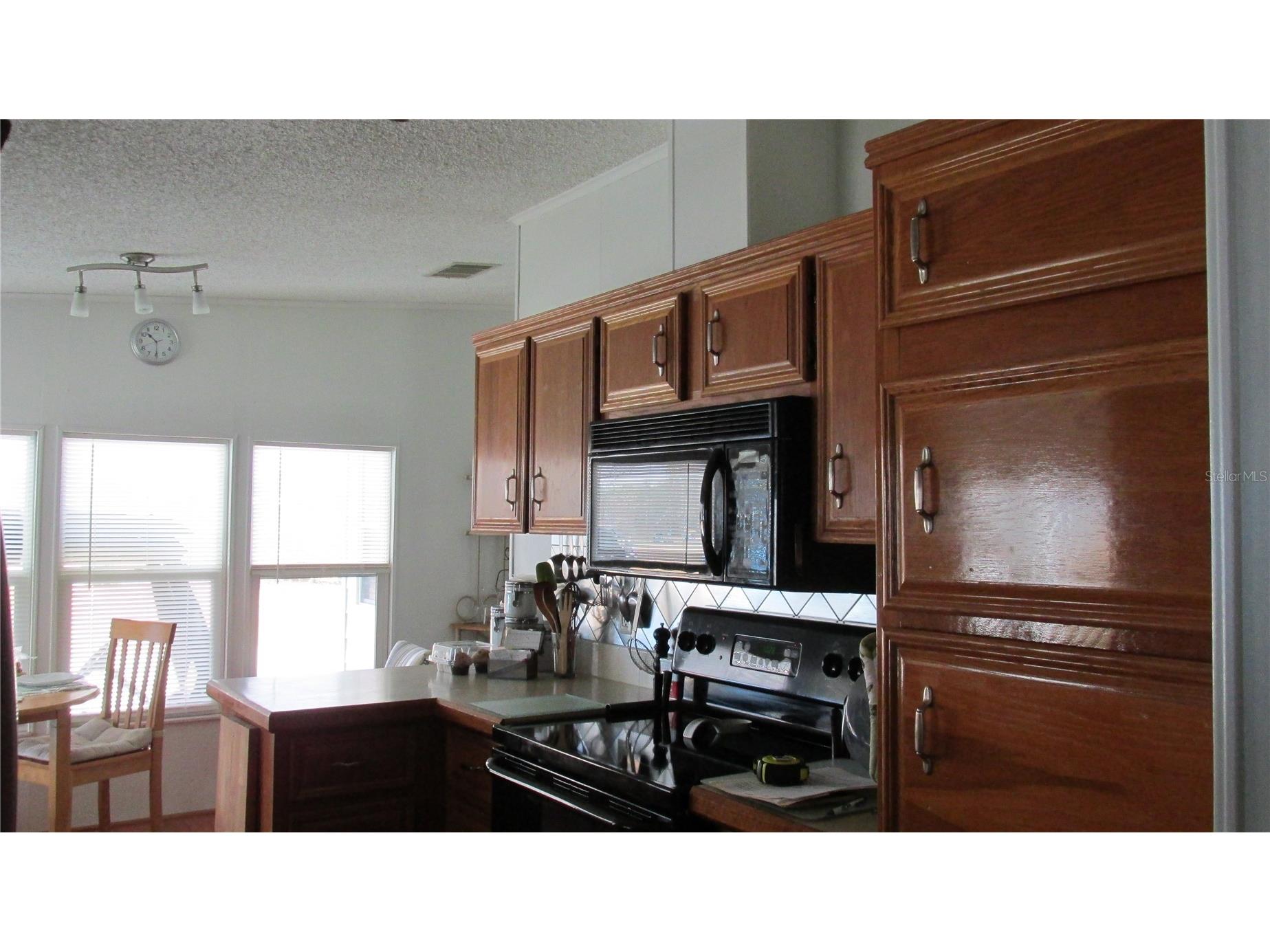 191 Dartmouth Drive Haines City FL 33844 L4959392 image15