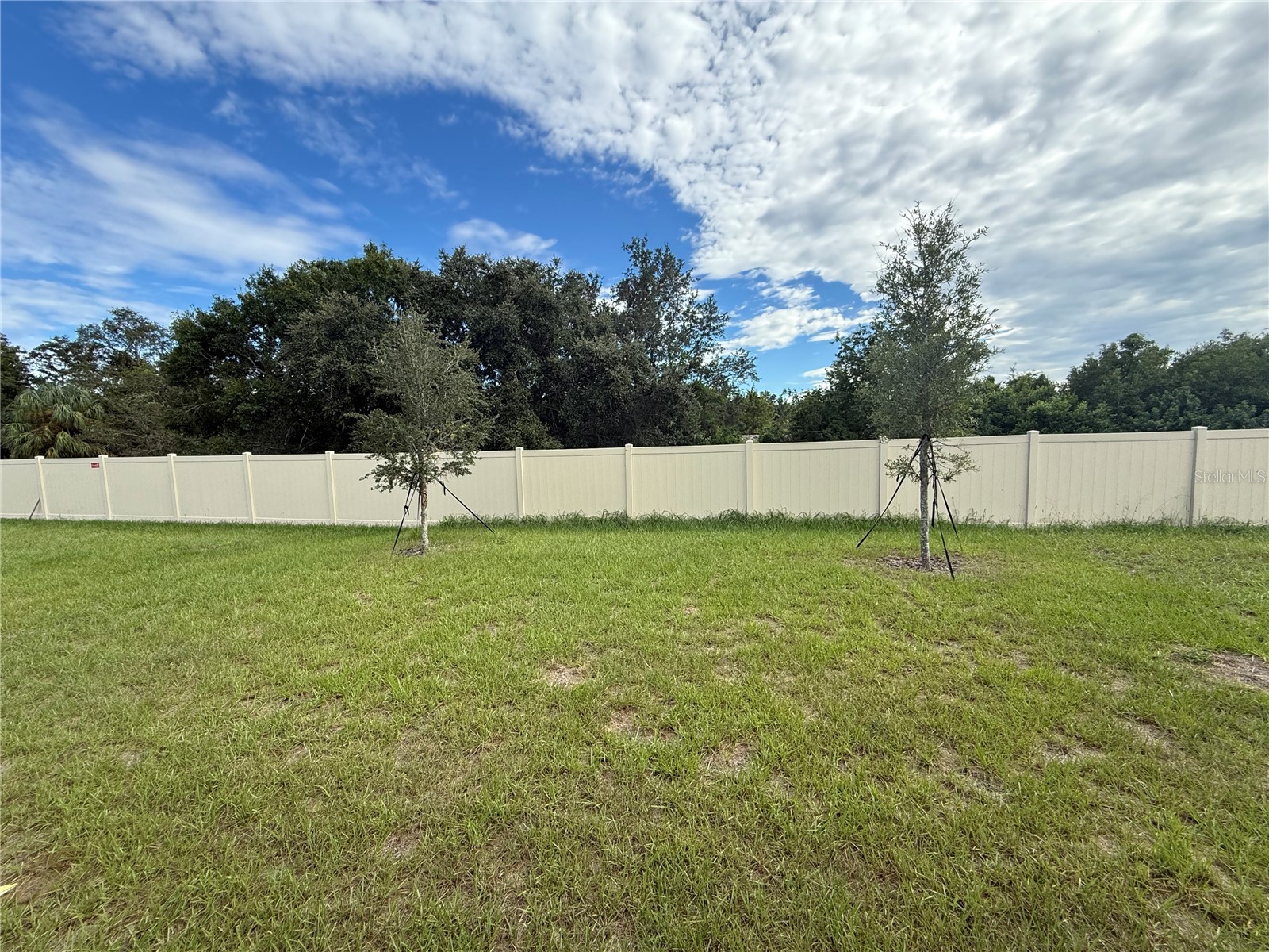  Haines City FL 33844 S5142635 image11