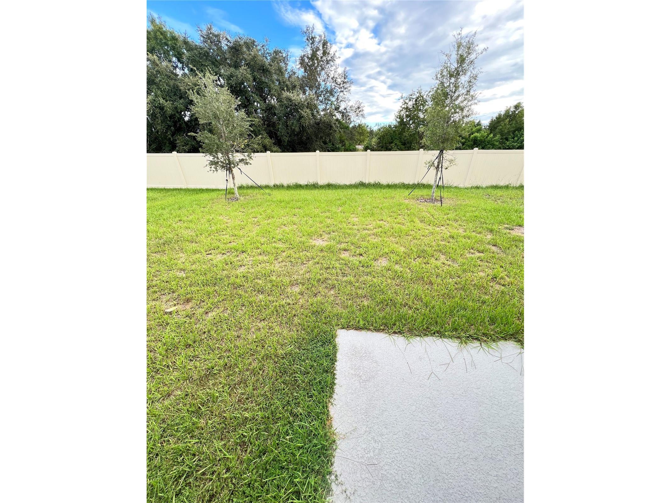  Haines City FL 33844 S5142635 image9