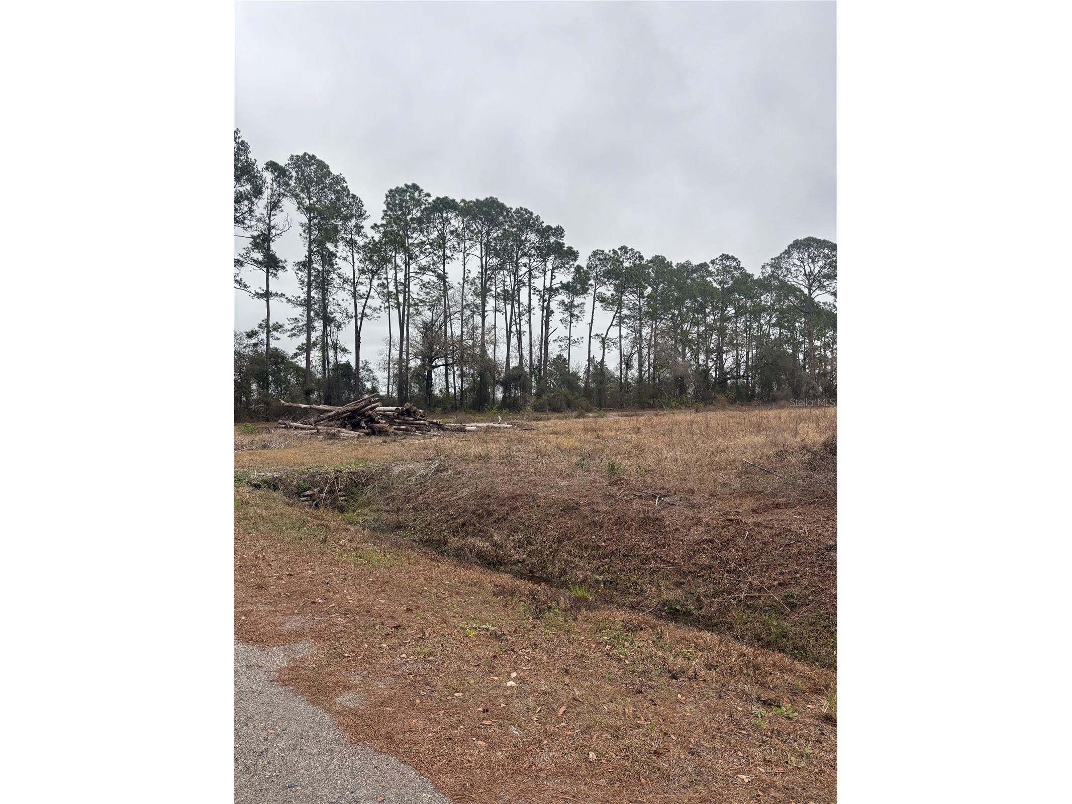 9600 Light Avenue Hastings FL 32145 FC316125 image1