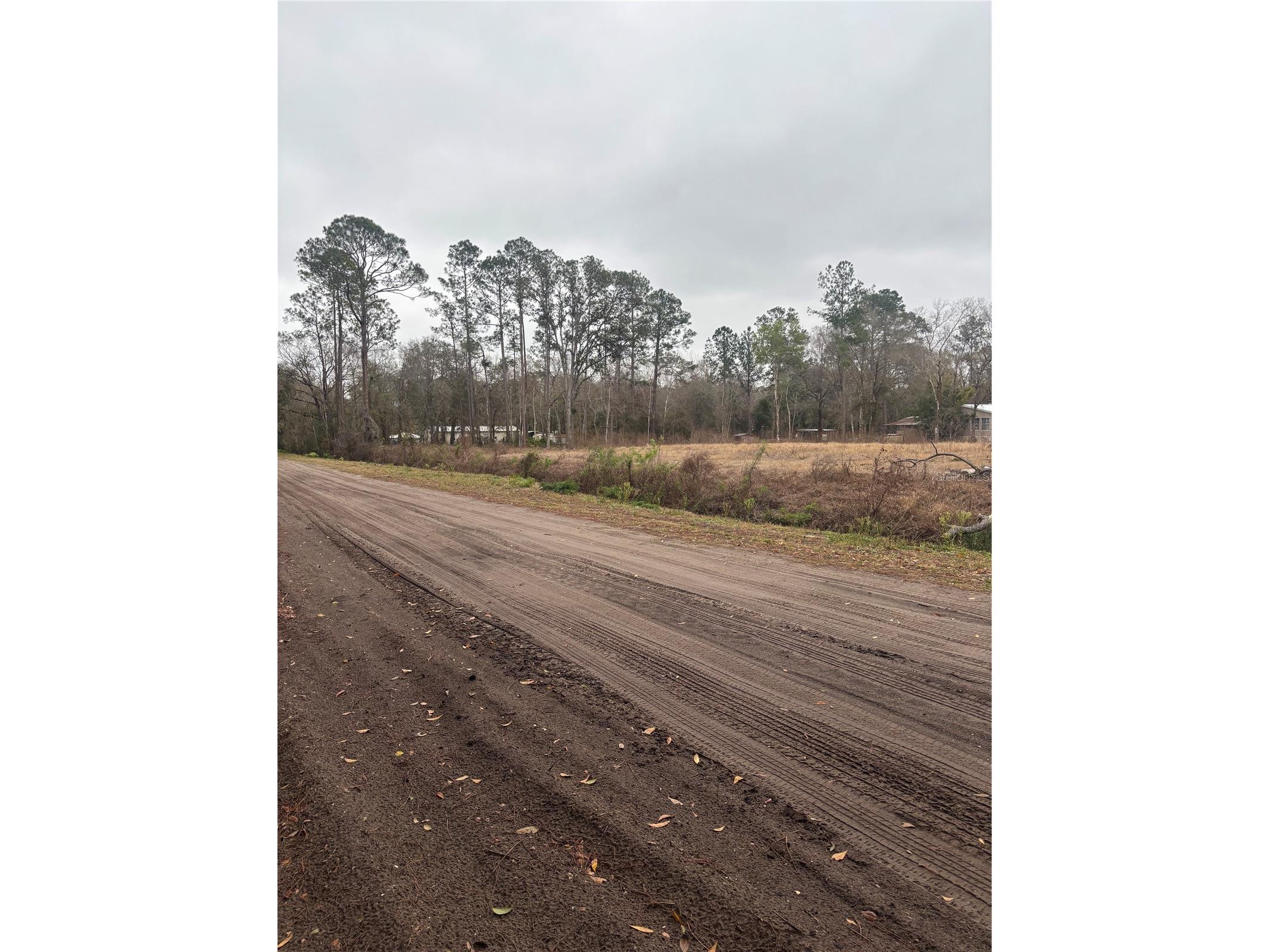 9600 Light Avenue Hastings FL 32145 FC316125 image14