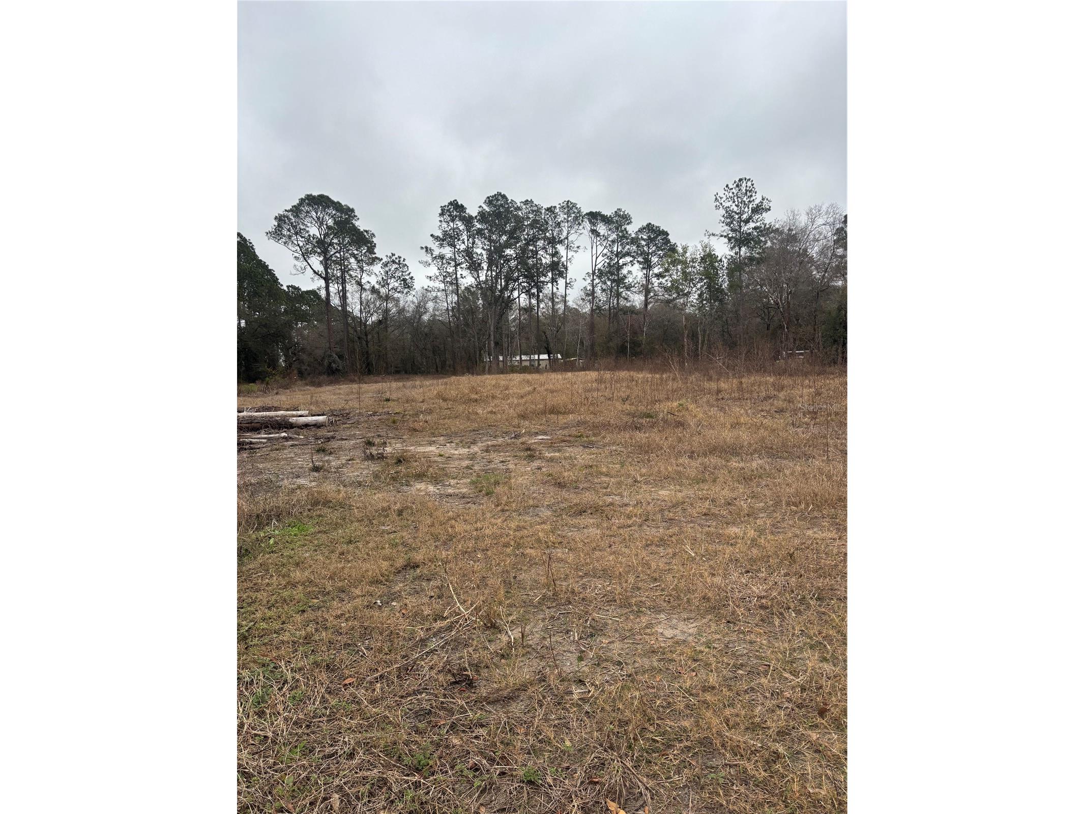 9600 Light Avenue Hastings FL 32145 FC316125 image3