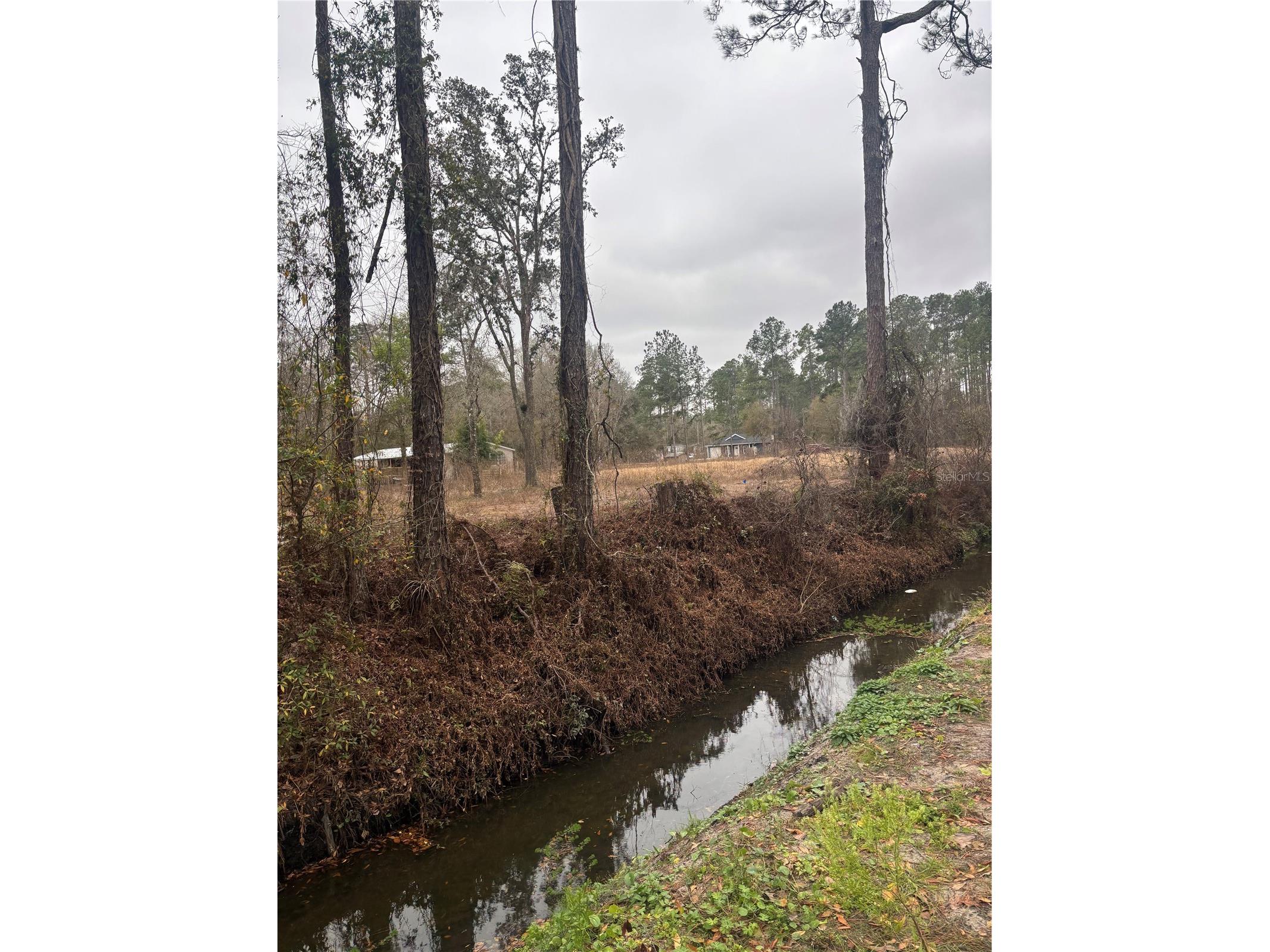 9600 Light Avenue Hastings FL 32145 FC316125 image6