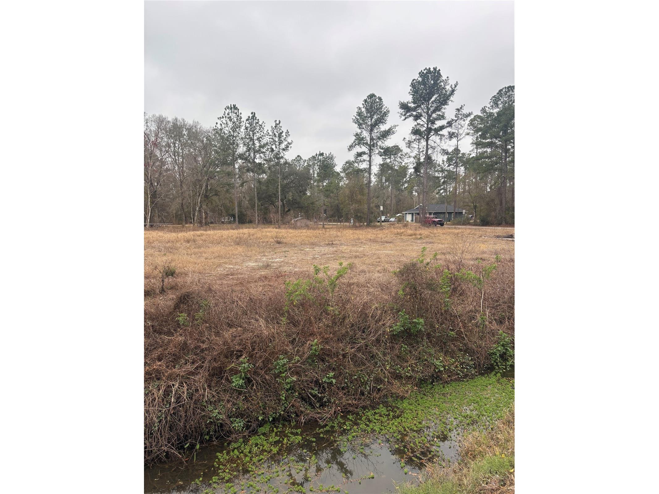 9600 Light Avenue Hastings FL 32145 FC316125 image7