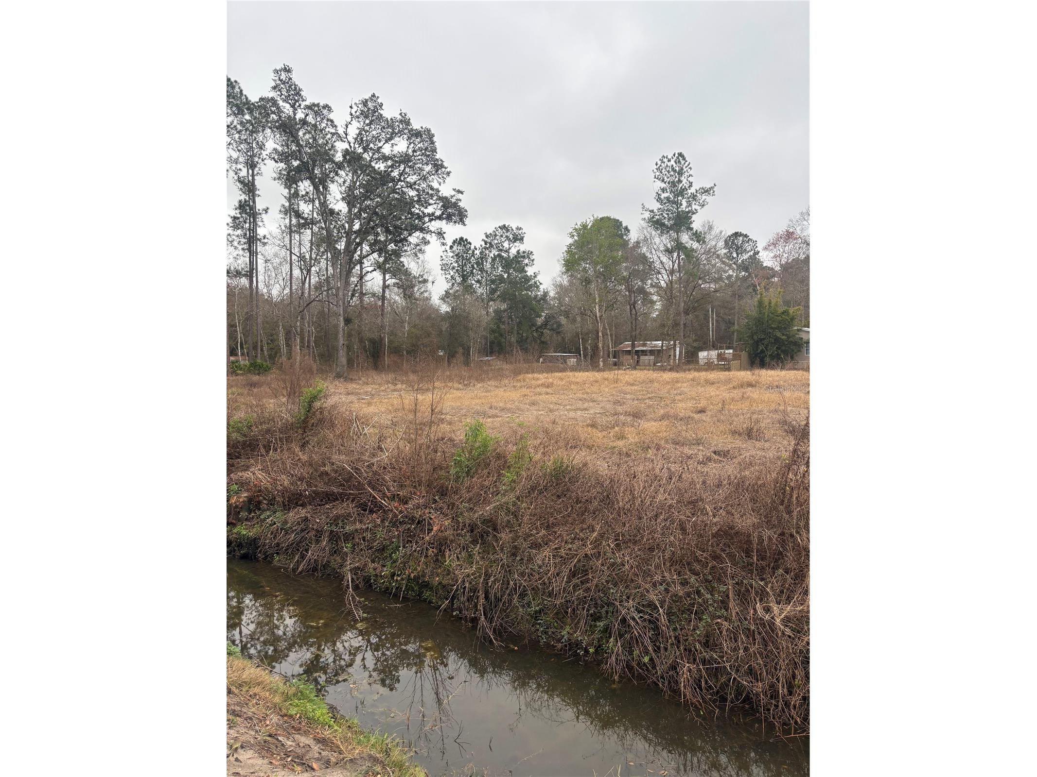 9600 Light Avenue Hastings FL 32145 FC316125 image8