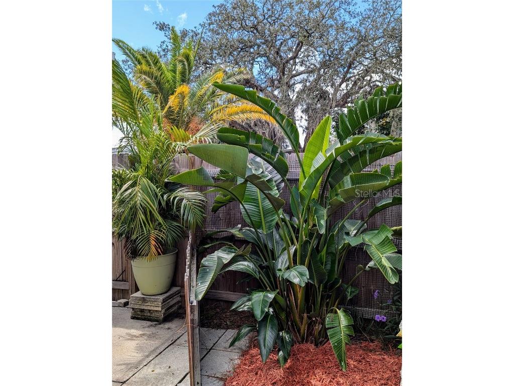  Holiday FL 34691 U8188988 image22