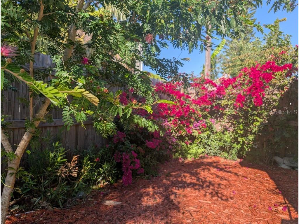  Holiday FL 34691 U8188988 image25