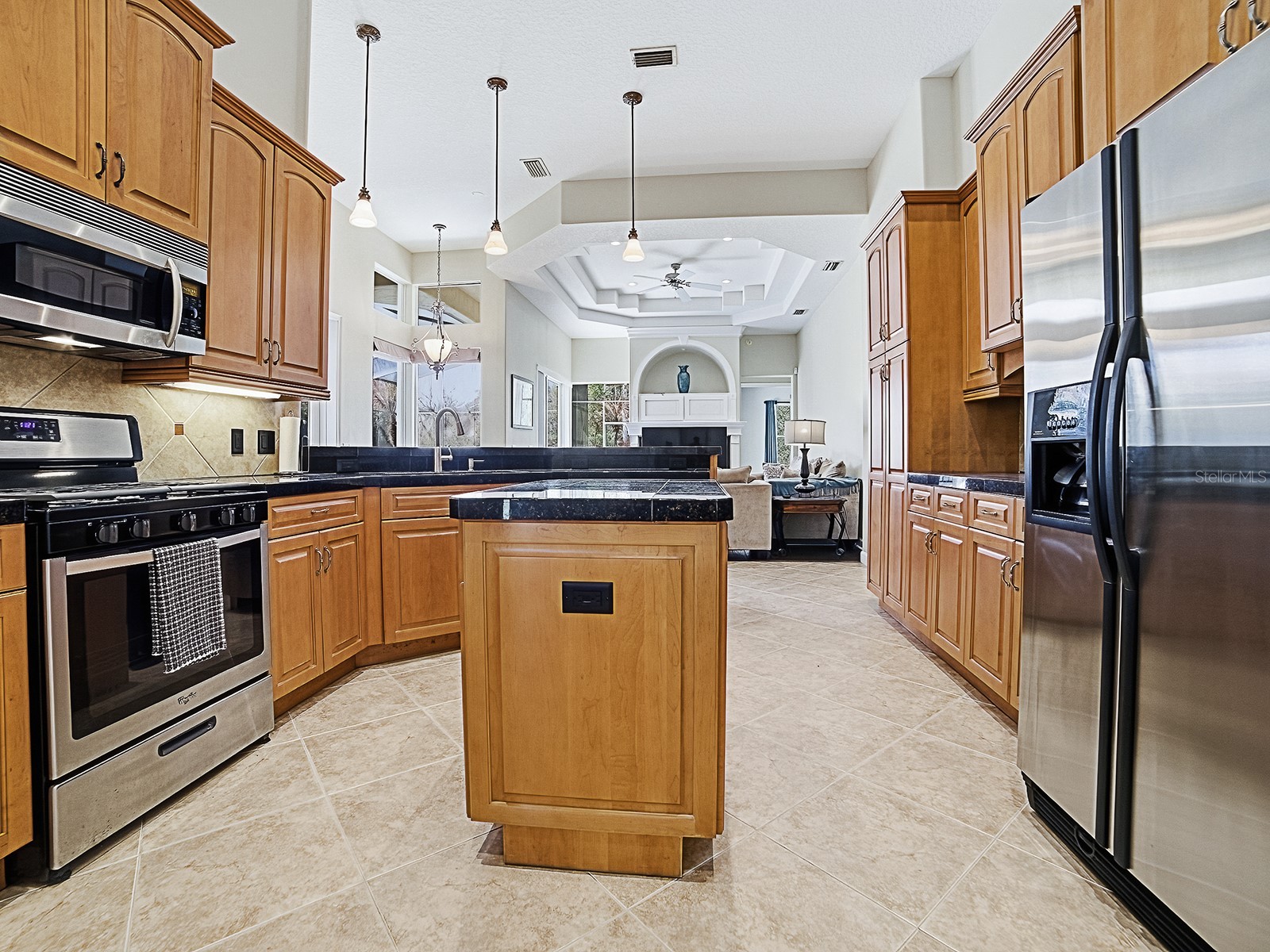 9926 Santa Barbara Court Howey In The Hills FL 34737 G5110486 image14