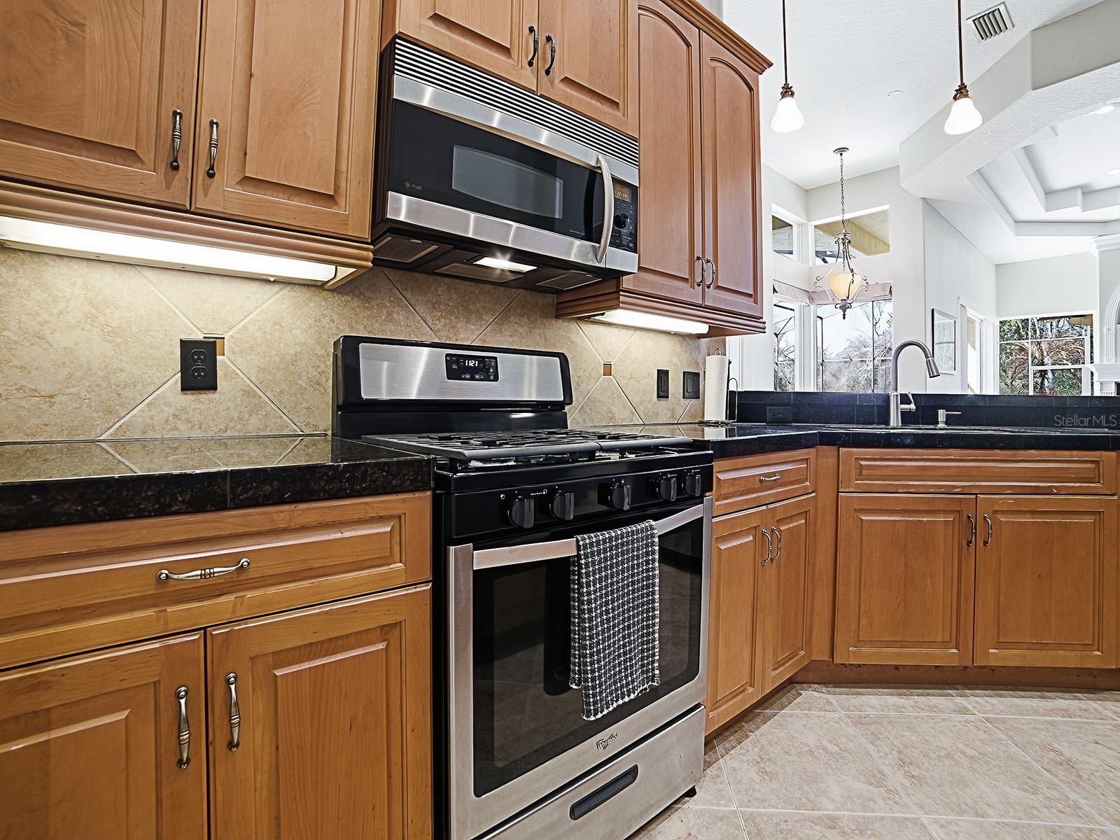 9926 Santa Barbara Court Howey In The Hills FL 34737 G5110486 image15
