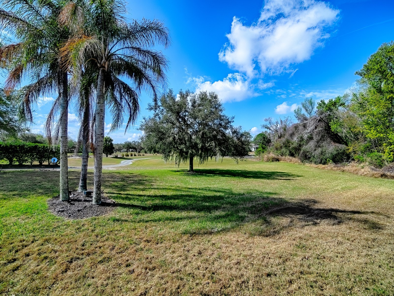 9926 Santa Barbara Court Howey In The Hills FL 34737 G5110486 image53