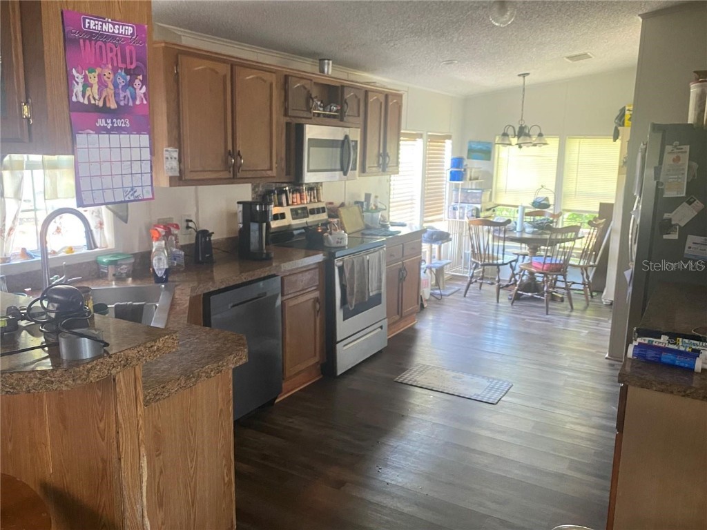  Hudson FL 34667 W7880572 image15