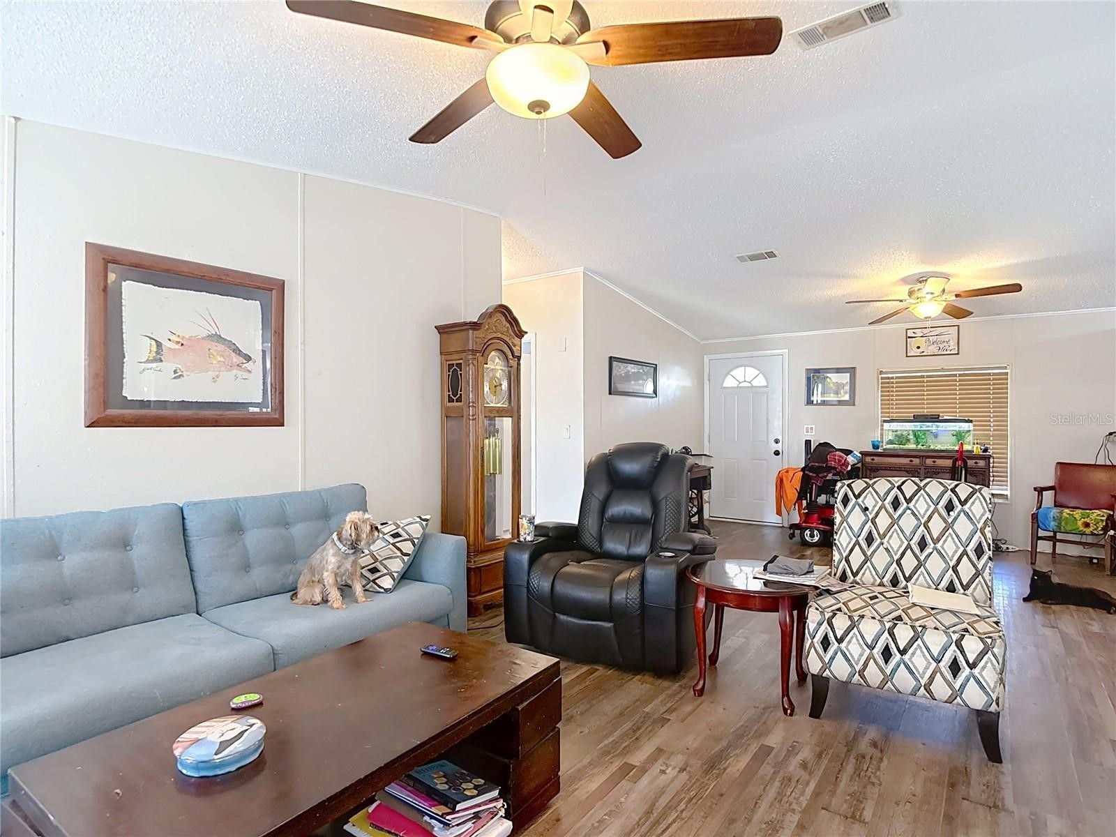  Hudson FL 34667 W7884686 image19