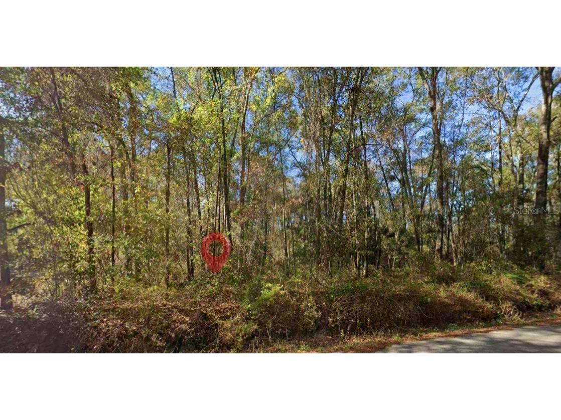 Iamonia Landing Road Tallahassee FL 32312 TB8525667 image1