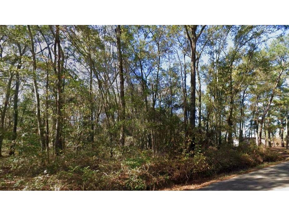 Iamonia Landing Road Tallahassee FL 32312 TB8525667 image2