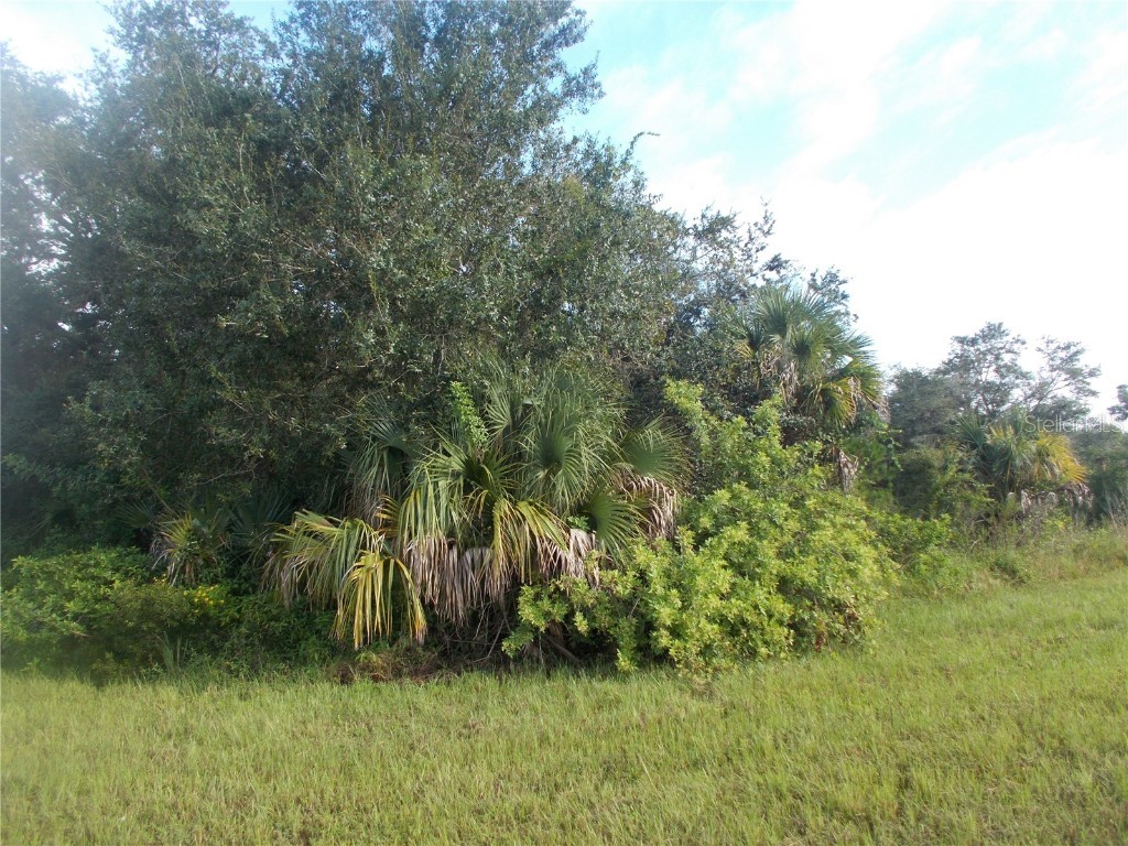 Ibson Lane North Port FL 34286 N6117600 image1