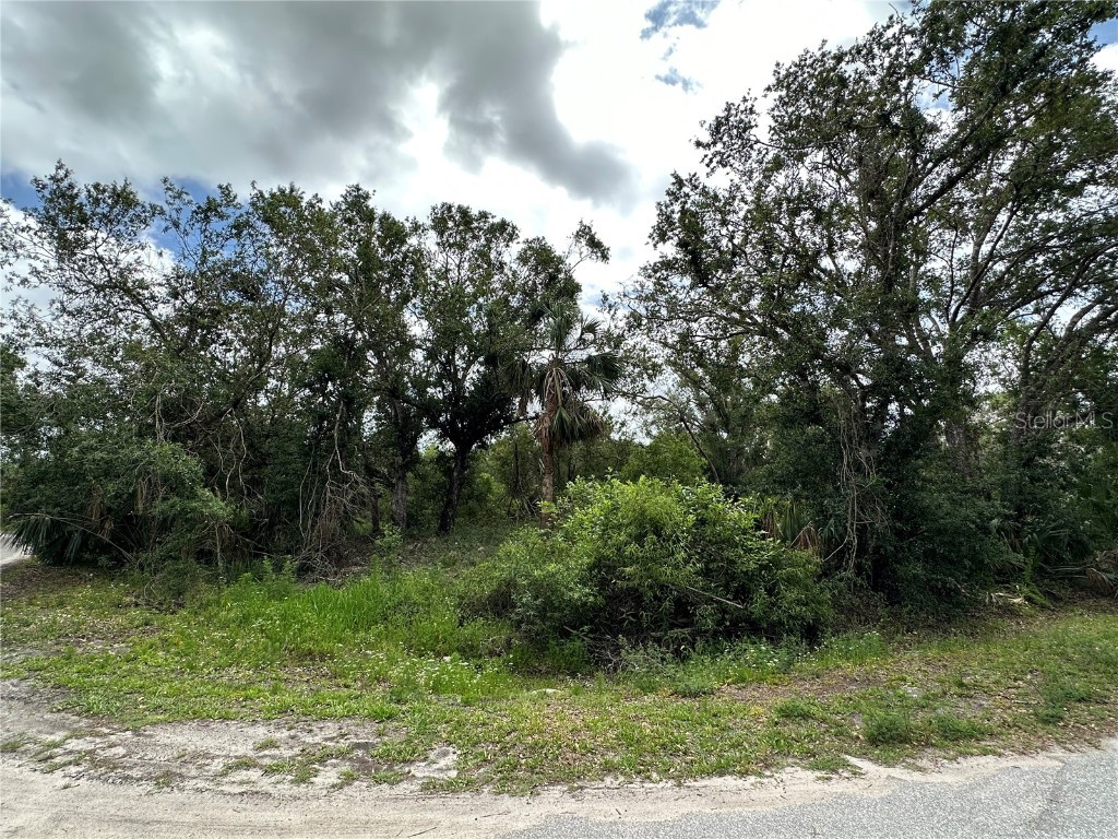 Ibson Lane North Port FL 34286 N6126320 image1