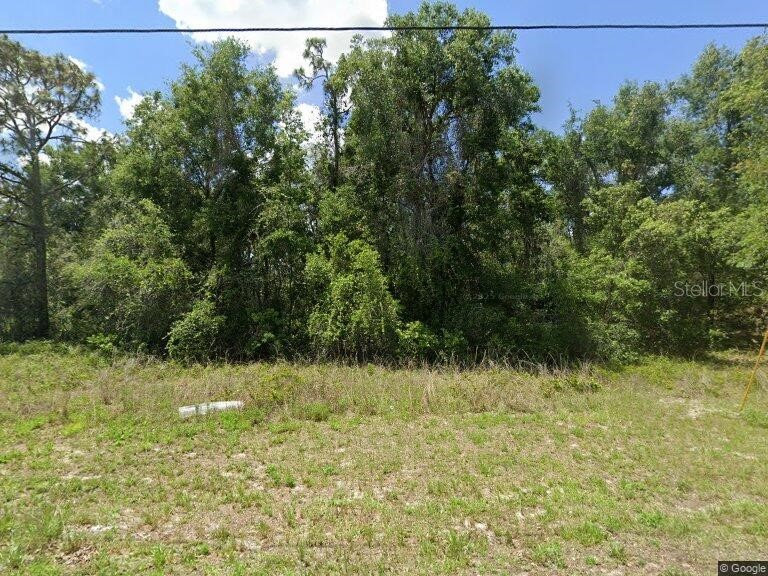 Idle A While Circle Dade City FL 33523 TB8465677 image1