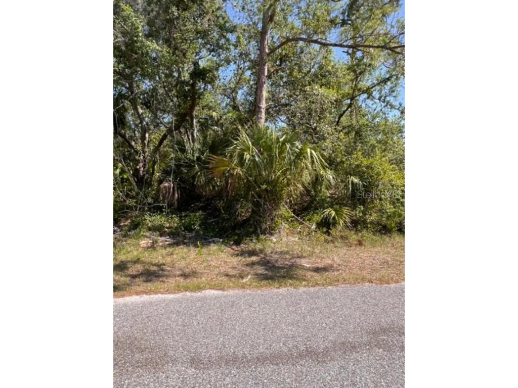 Ikola Avenue North Port FL 34288 C7509646 image1