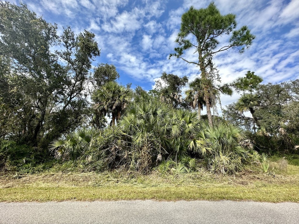 Illan Road North Port FL 34291 N6129923 image1