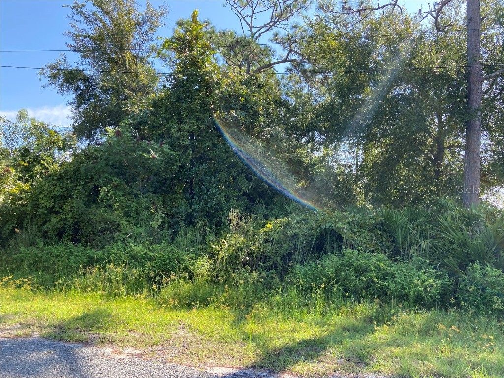 Illinois Avenue Deltona FL 32738 V4922188 image1