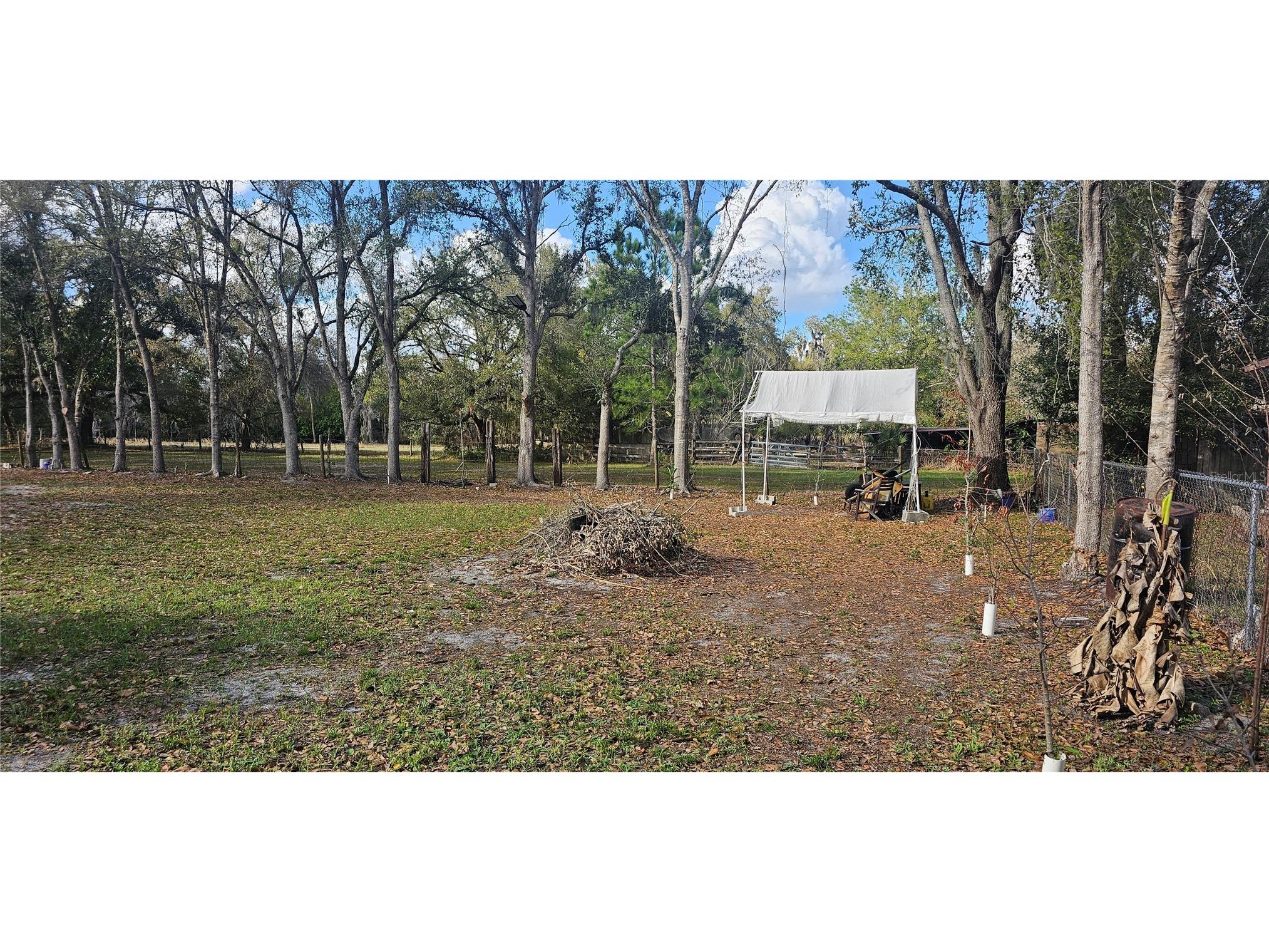 Immokalee Street Intercession City FL 33848 S5145168 image12