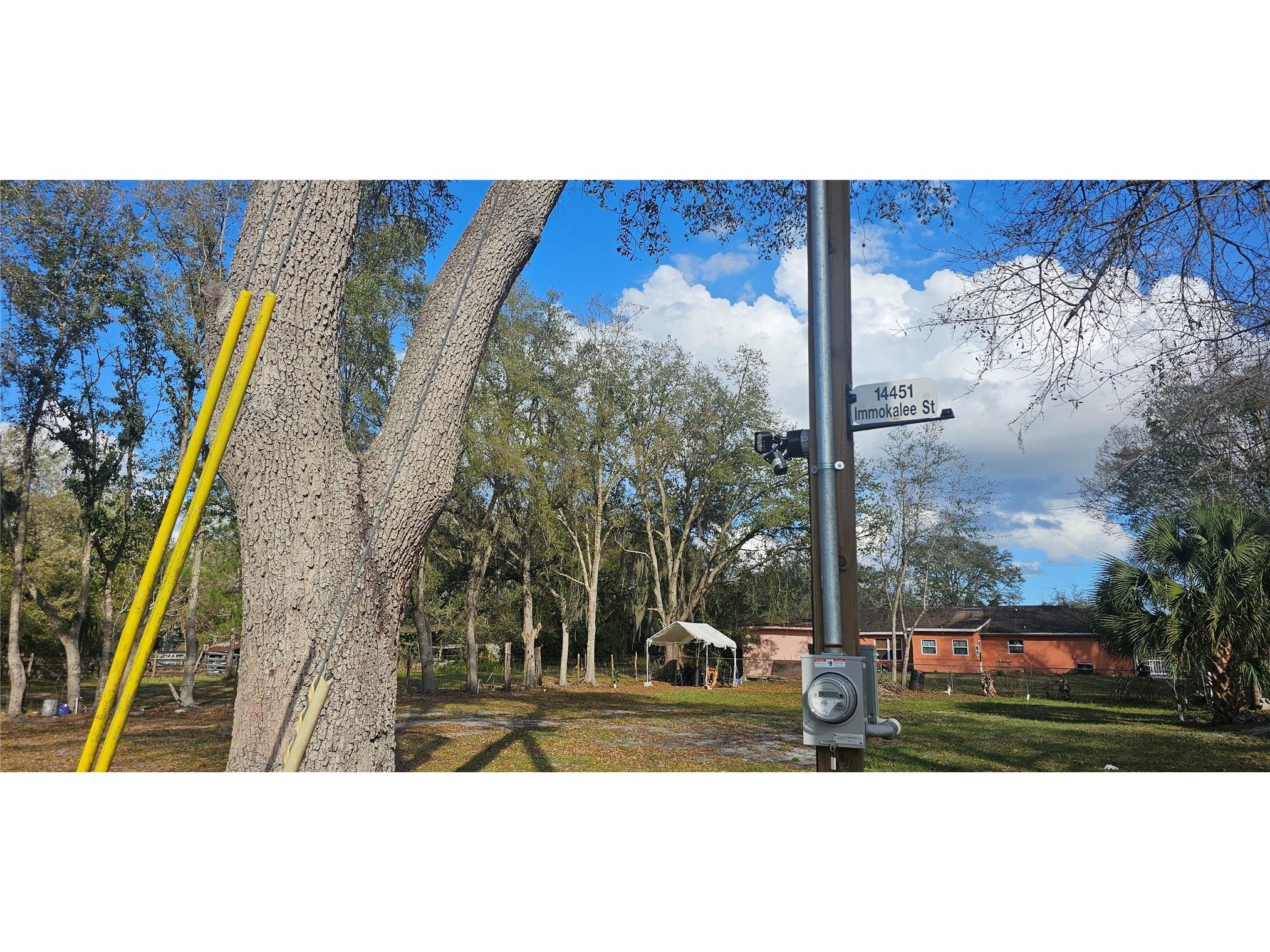 Immokalee Street Intercession City FL 33848 S5145168 image14