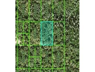Inaccessible Tract Kathleen FL 33849 B4901870 image1
