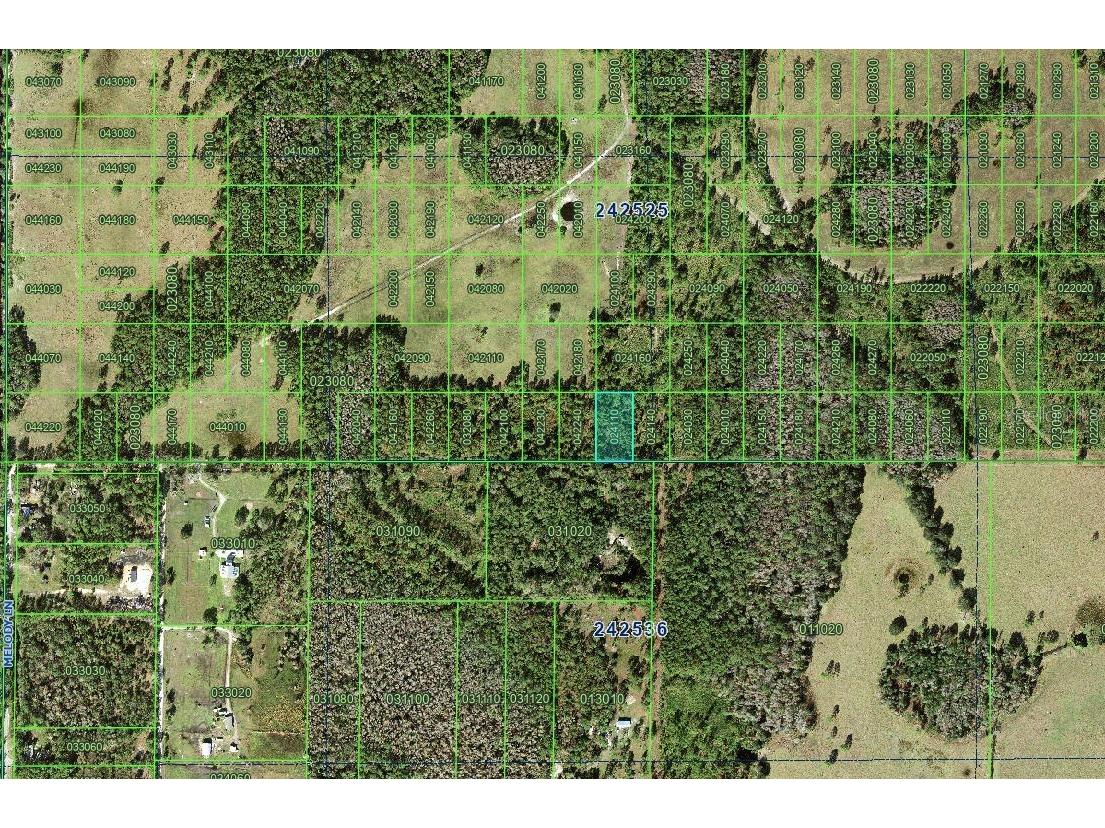 Inaccessible Tracts Polk City FL 33868 A4645091 image1