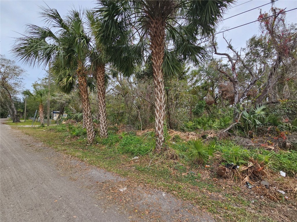 Ince Drive Ruskin FL 33570 A4636470 image1
