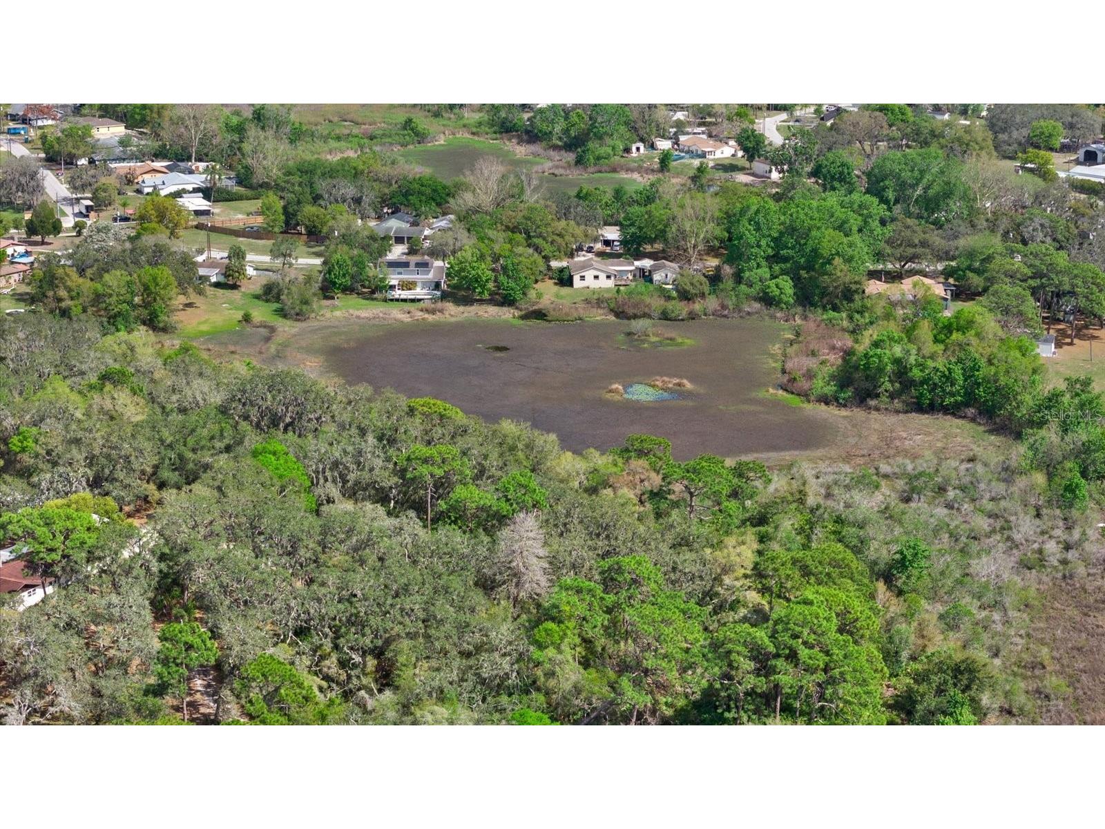 Indale Drive New Port Richey FL 34654 A4685439 image26