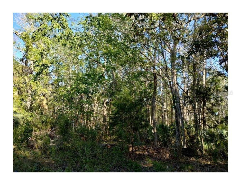 Indian Bay Road Spring Hill FL 34607 W7873429 image1