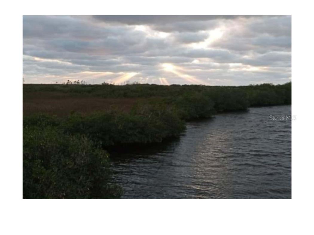 Indian Bay Road Spring Hill FL 34607 W7873429 image10