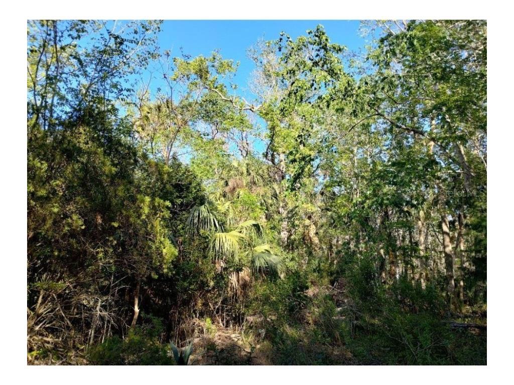 Indian Bay Road Spring Hill FL 34607 W7873429 image2