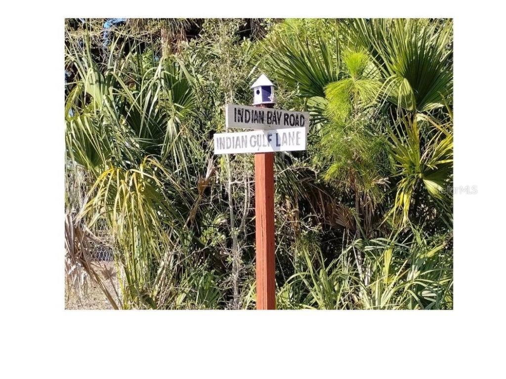 Indian Bay Road Spring Hill FL 34607 W7873429 image4