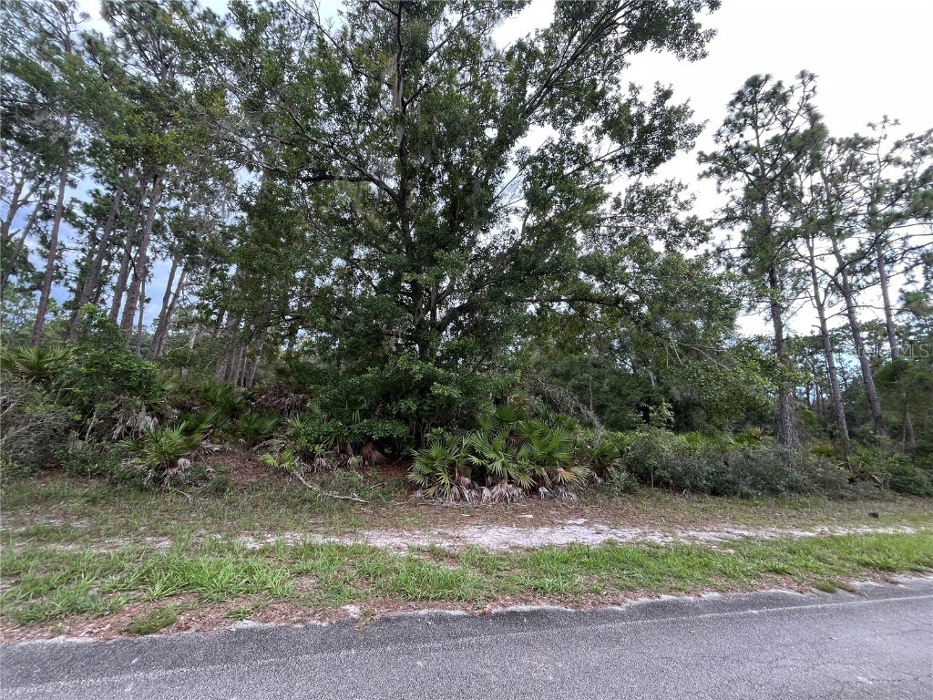 Indian Lake Drive Indian Lake Estates FL 33855 OK224220 image1