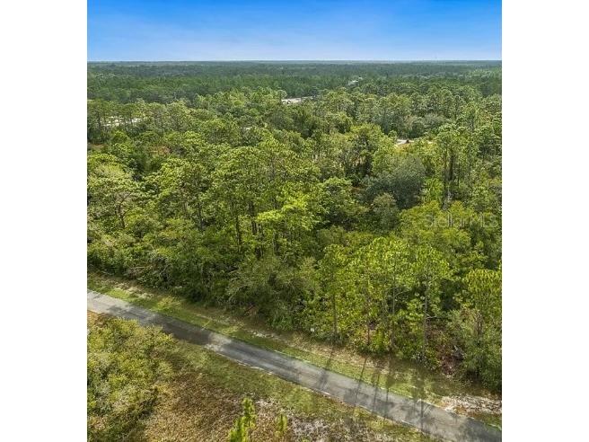 Indian Lake Drive Indian Lake Estates FL 33855 - LAKE WALK - IN -WATHER O6270589 image3