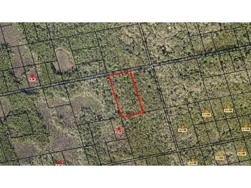 Indian River Park Mims FL 32754 O6226638 image4