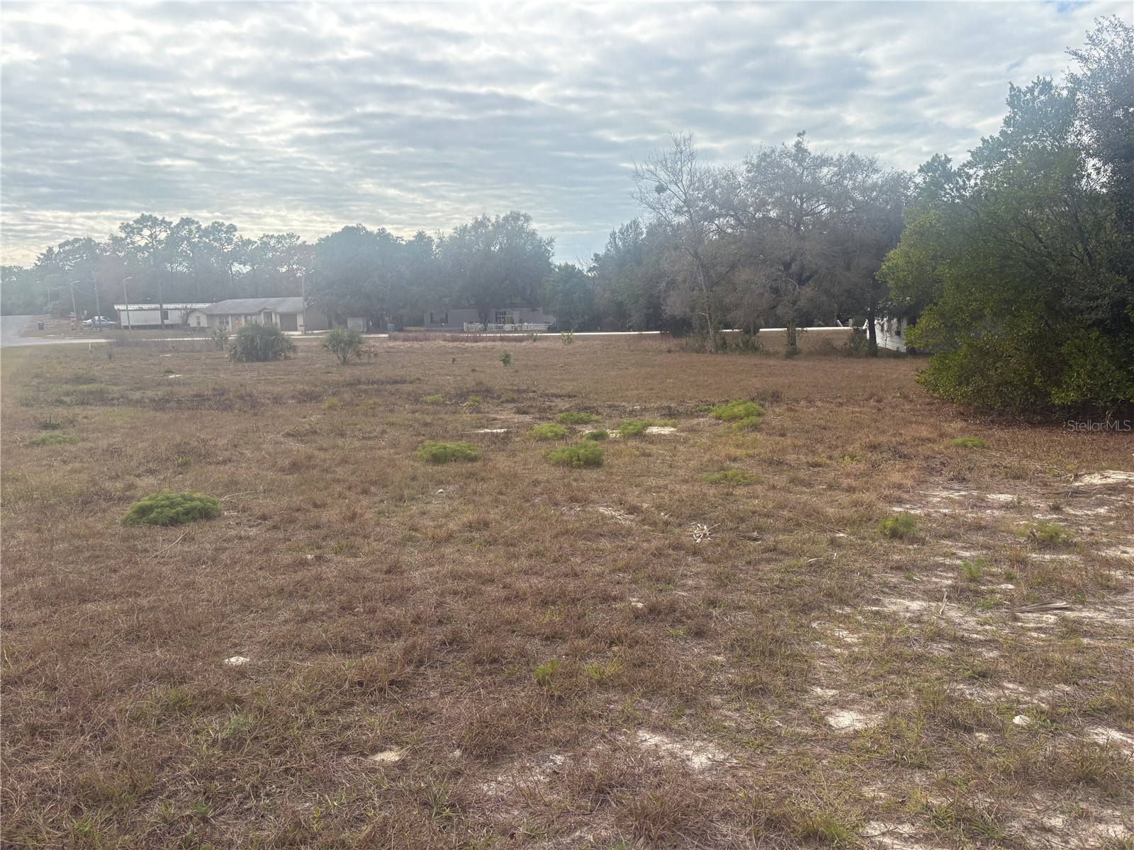 Indian Trail Road Brooksville FL 34613 C7522301 image1