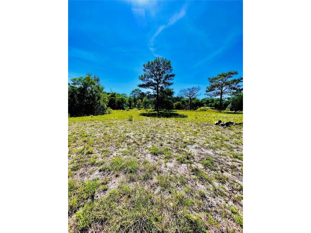 Indian Trail Road Weeki Wachee FL 34613 T3535888 image10