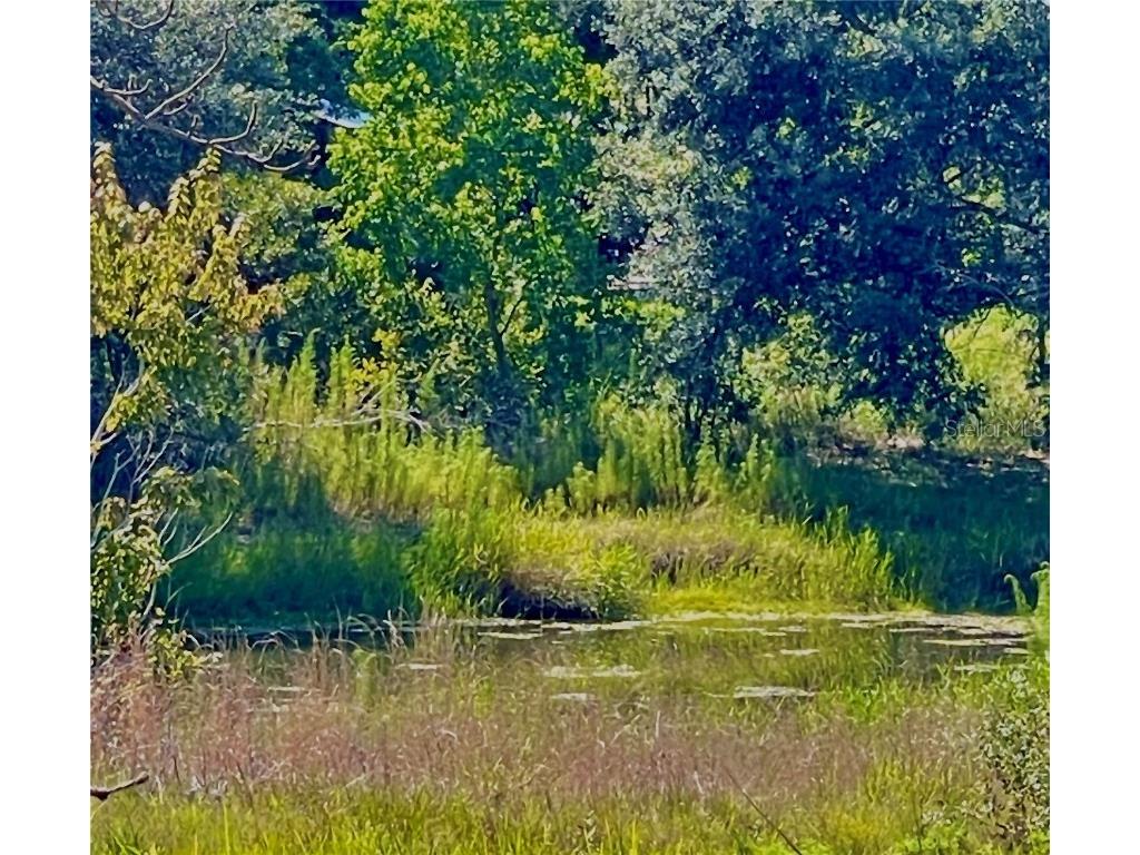 Indian Trail Road Weeki Wachee FL 34613 T3535888 image4