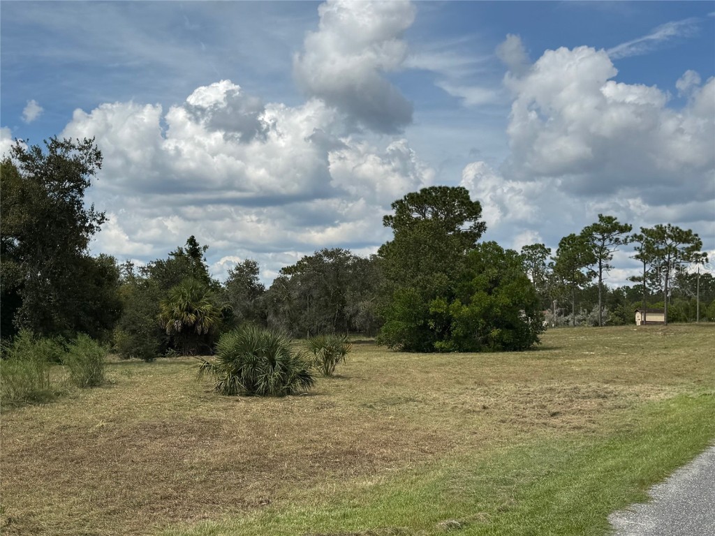 Indian Trail Road Weeki Wachee FL 34613 T3535888 image5