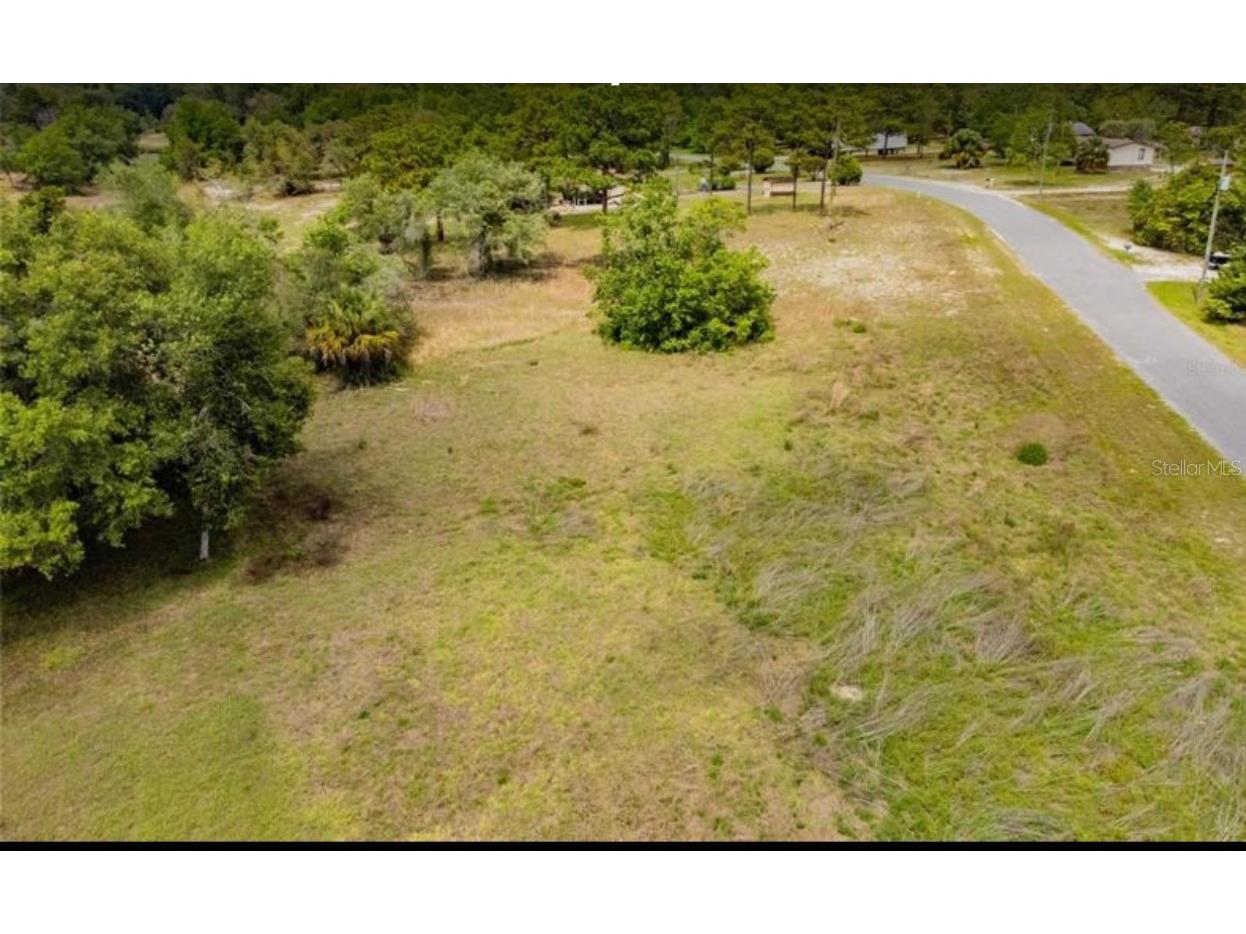 Indian Trail Road Weeki Wachee FL 34613 T3535888 image7