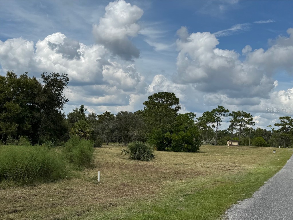 Indian Trail Road Weeki Wachee FL 34613 T3535888 image8